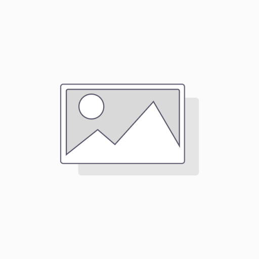 SWIRL Staubsaugerbeutel M40